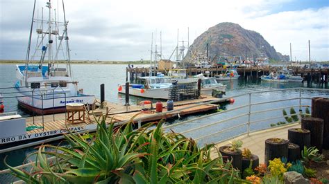 Visit Morro Bay: Best of Morro Bay, California Travel 2022 | Expedia ...