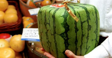 Square Watermelons Exist, As If Life Wasn't Weird Enough Already | HuffPost