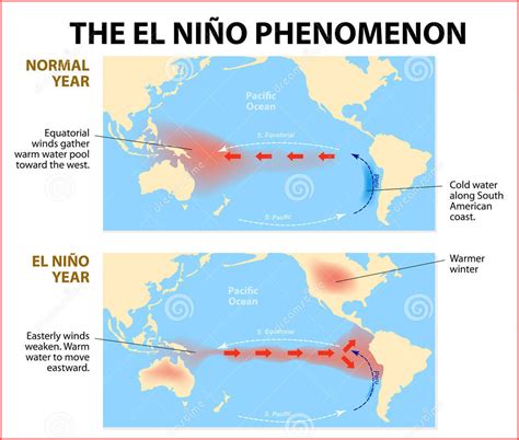 El Nino 2024 Map - Sibyl Nissie