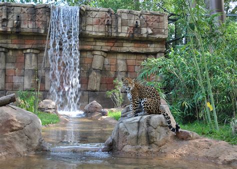 Exhibits & Areas | Alexandria Zoo