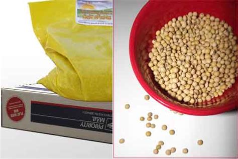 Dried Soybeans, Twelve lbs - wisgold