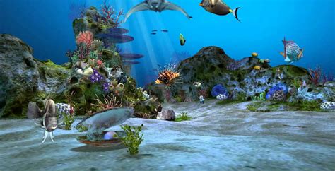 Aquarium Wallpapers - Wallpaper Cave