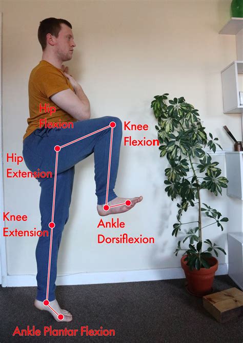 Not All Squats Are Equal — Movementum