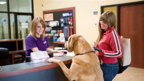 The Best Pet Boarding in Columbus, Ohio | Grooming and Daycare Services ...