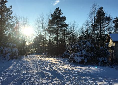 Swedish winter landscape - Go Nature Trip