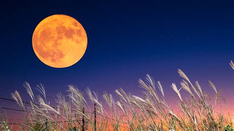 Harvest Moon: Spiritual meaning behind September's Full Moon | Woman & Home