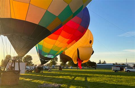 WBS - WBS supports the Wairarapa Balloon Festival 2023