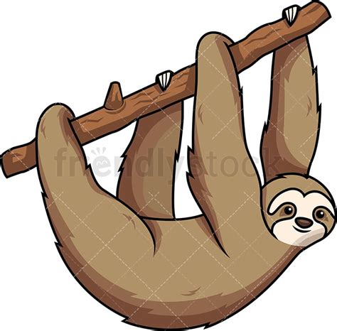 Sloth Hanging