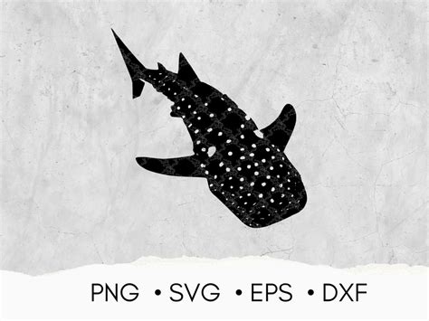 Whale Shark SVG PNG DXF Eps Silhouette Clipart Animal T-shirt Designs ...