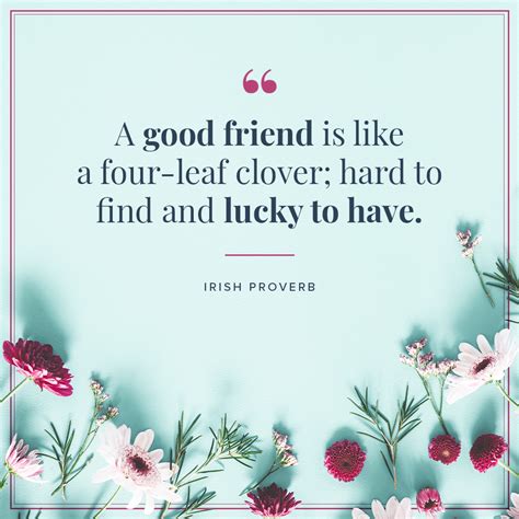 A Collection of Friendship Quotes to Inspire You