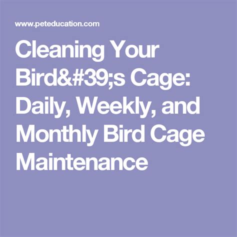 Cleaning Your Bird's Cage: Daily, Weekly, and Monthly Bird Cage ...