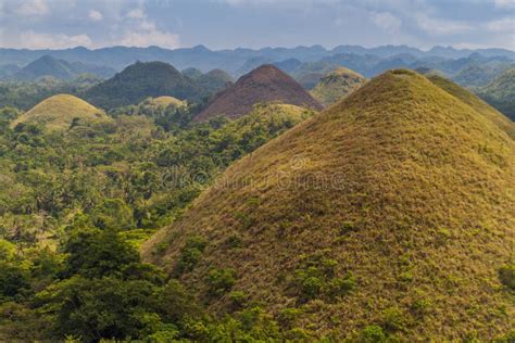 Geological Formation the Chocolate Hills on Bohol Island, Philippin ...