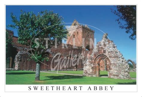 Sweetheart Abbey Postcard (H SG)