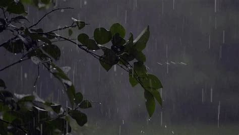 Rain Background Gif : Rain Animated Gifs Raining Animation Rainy ...