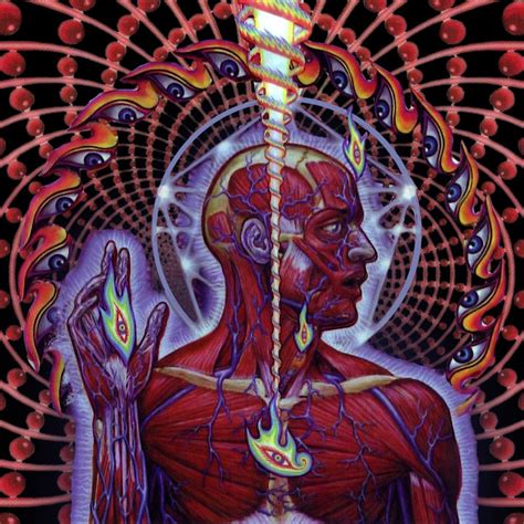 Tool - 2001 - Lateralus | Tool band artwork, Tool band art, Tool artwork