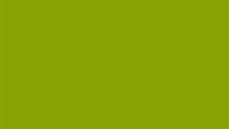 Vomit Green Solid Color Background Image | Free Image Generator