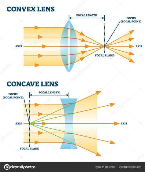 벡터 그림의 볼록 렌즈와 오목 렌즈 — 스톡 벡터 © VectorMine #350422302