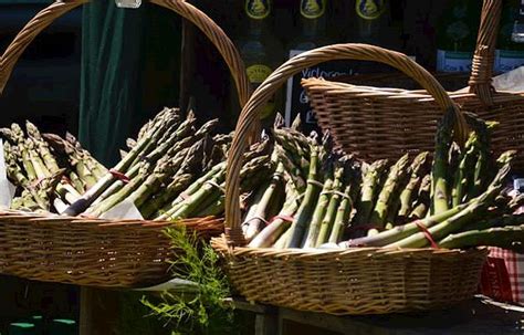 Vale of Evesham Asparagus | Local Asparagus From Evesham, England