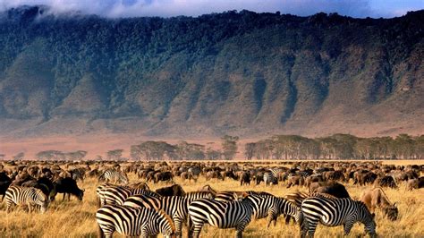 The Beauty of Ngorongoro Crater, Arusha’s 8th Wonder - See Africa Today