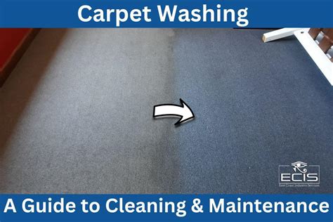 Carpet Washing Guide: Ultimate Tips for Clean & Fresh Carpets