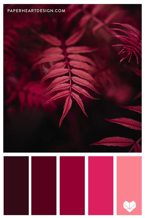 Color Palette: Radiant Reds — Paper Heart Design