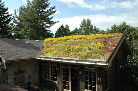 Green Roofs: Why You Must Consider The Idea Of Green Roofs? | Leaf Lette