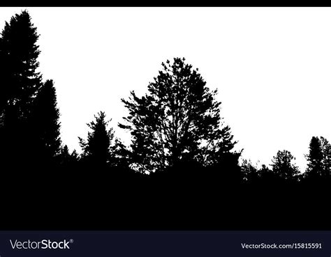 Black forest silhouette isolated on white Vector Image