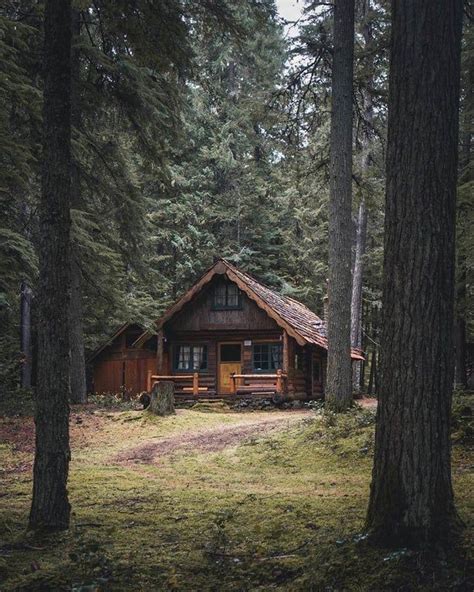 Rustic Cabin Deep In The Woods.. : r/cozy