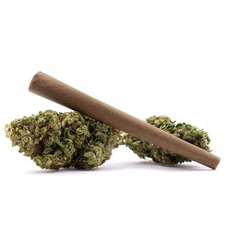 Roll a Perfect Blunt Every Time In 5 Easy Steps - Marijuana Science