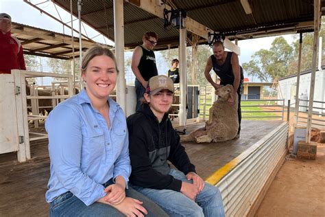 Blue Light Shearing in outback Queensland offering skills and pathways ...