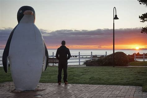 The iconic very large penguin at Penguin on Tasmania's North West Coast ...