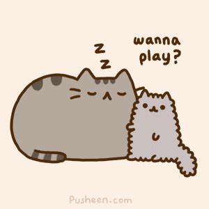 Fat Cat Sleeping GIF - Fat cat Sleeping Wanna play - Discover & Share GIFs