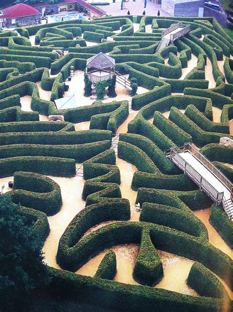 Hedge maze | Rock garden design, Maze design, Garden design