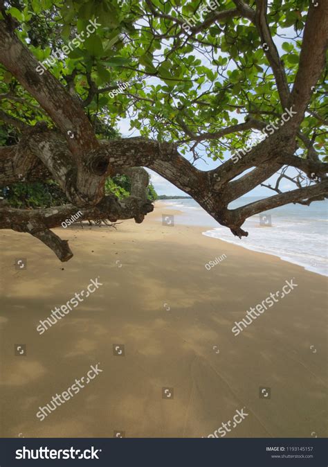 Beaches Libreville Gabon Stock Photo 1193145157 | Shutterstock