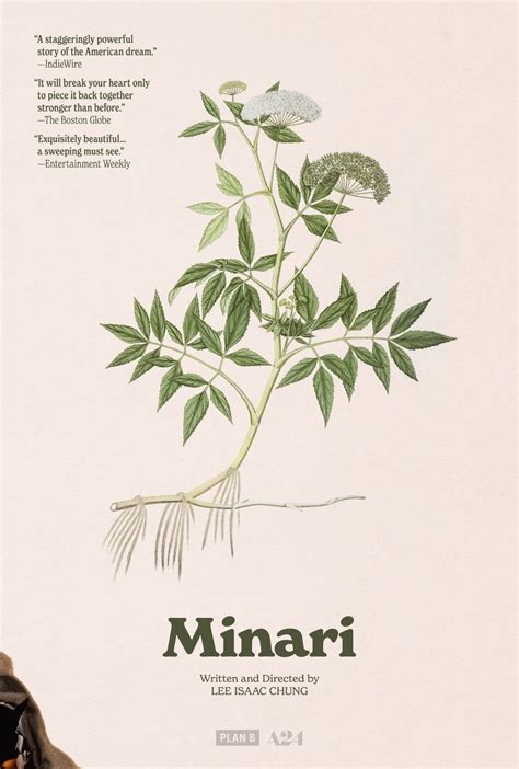 Minari (2020) [1500 x 2222] Indie Movie Posters, Film Posters Vintage ...