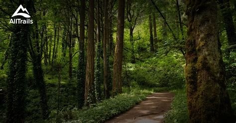 10 Best hikes and trails in Forest Park | AllTrails