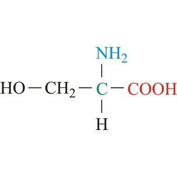 Serine @ Chemistry Dictionary & Glossary