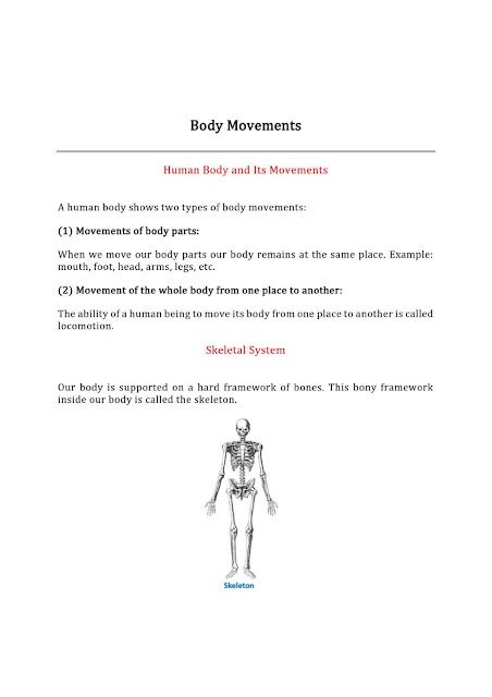 NCERT Class 6 Science Chapter 5 Body Movements Notes PDF Download