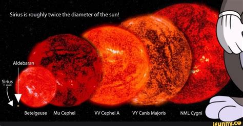 Vv Cephei Compared To Vy Canis Majoris