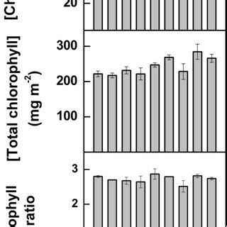 Comparison of photosynthetic pigment concentrations in Arabidopsis ...