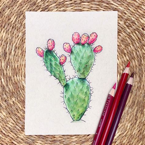 Cactus / Prickly Pear Original 4.5x6 Drawing - Etsy