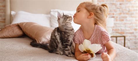 5 Reasons Why Cats Are the Best Pets for Kids