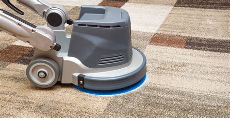 5 Best Carpet Washers UK ([date_month_year] Review) | Spruce Up!