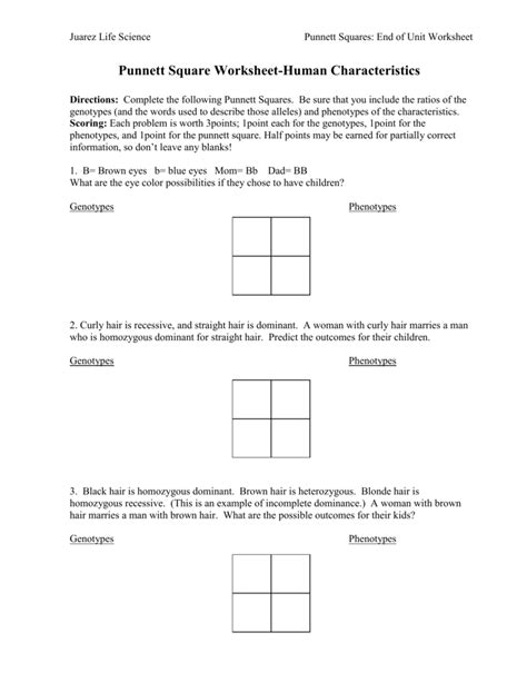 Free Printable Punnett Square Worksheet