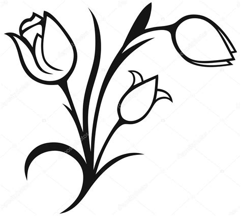 Tulip Outline Drawing at GetDrawings | Free download