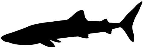 Whale Shark Silhouette | Free vector silhouettes