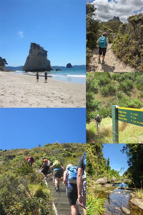 The Best Coromandel Hiking Trails in Comfort and Style with Walking ...