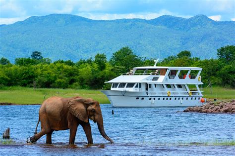 Safari Cruises