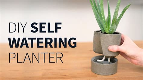 Self Watering Plant Pots Diy / It's just a matter of adjusting the ...