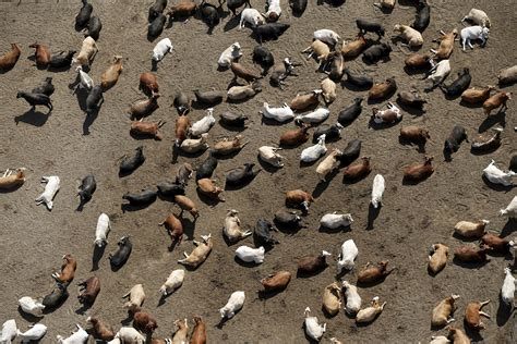 Aerial view: Surveying the effects of California’s severe drought on ...